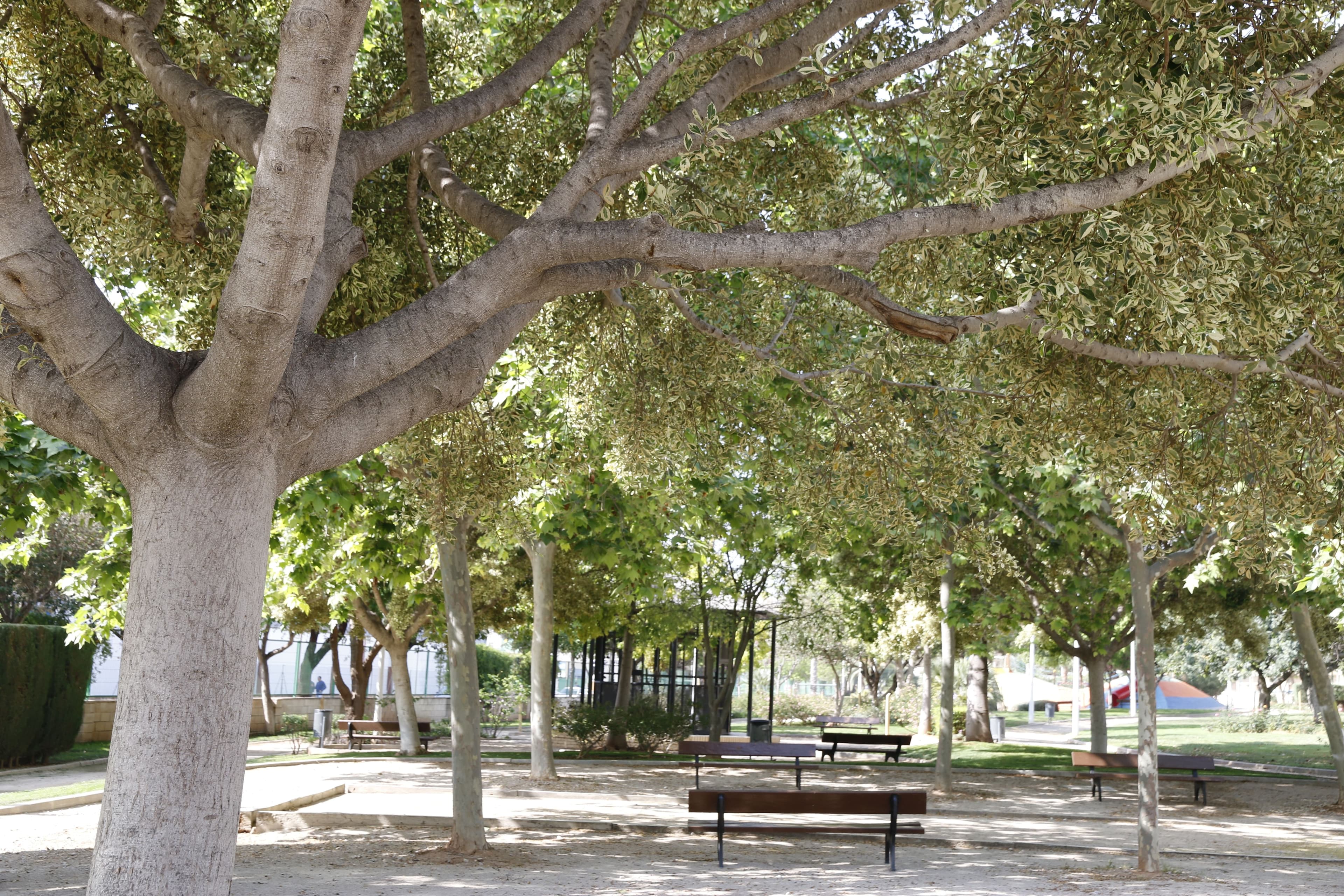 El parc Ribelles