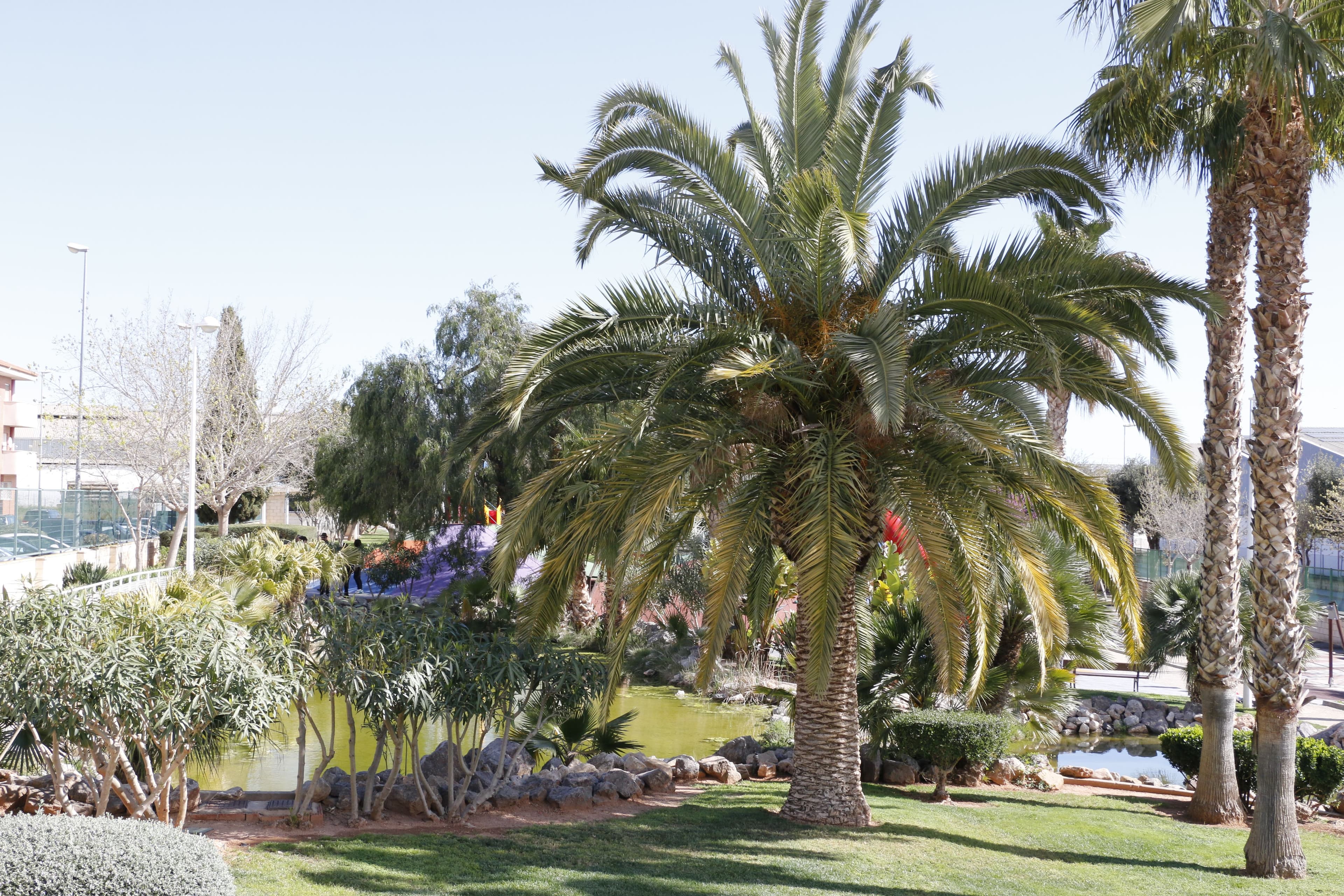 El parc Ribelles