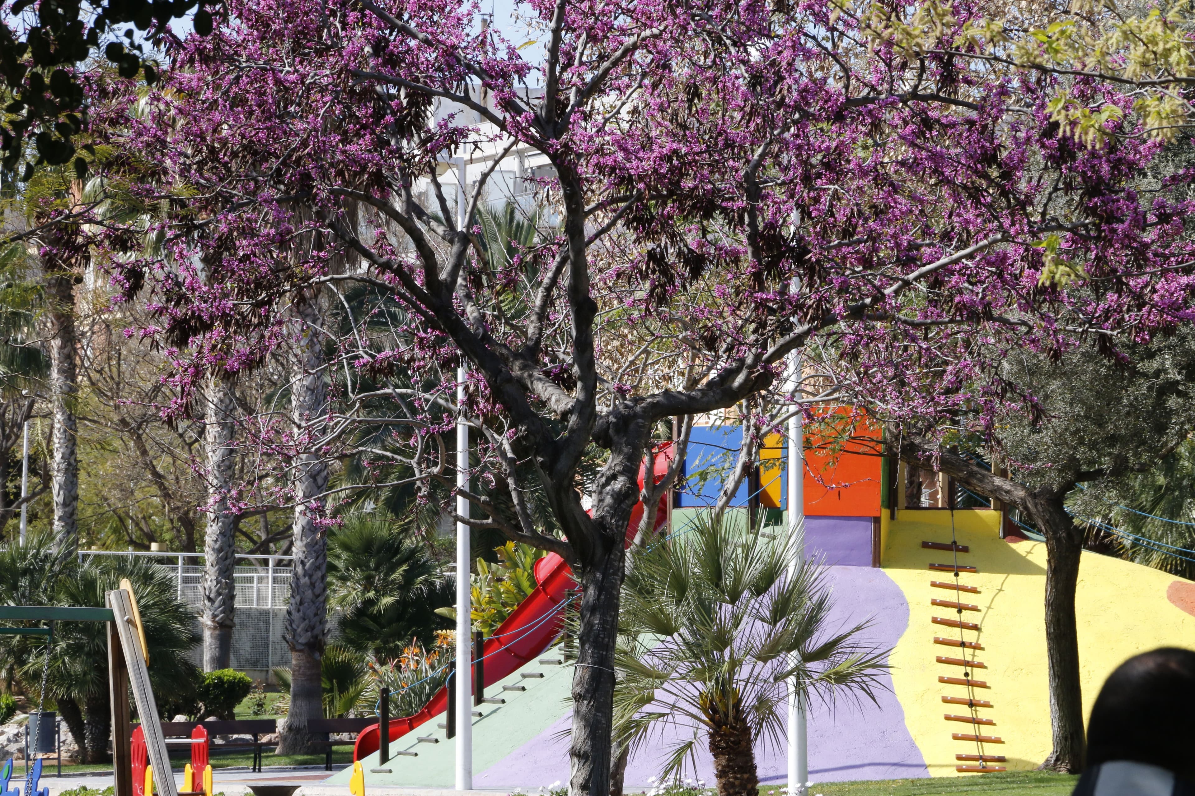 El parc Ribelles