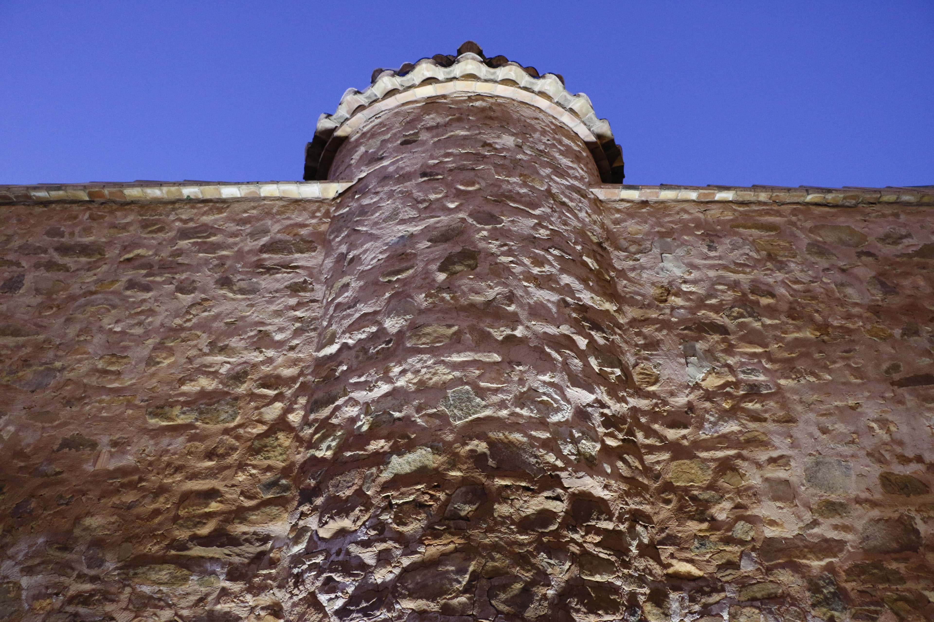Muralla del jardí botànic